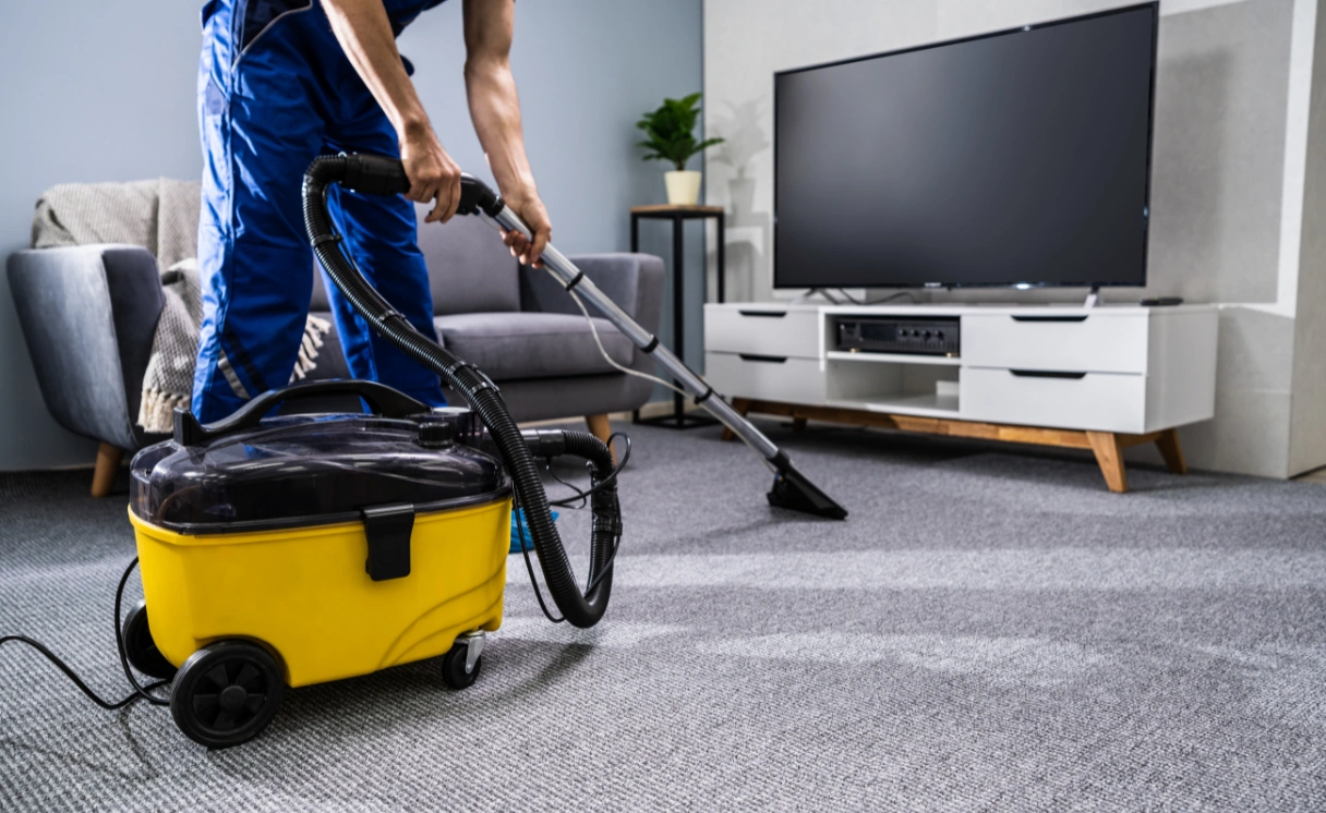 Extract Curtain Cleaning Anakie Contact Office